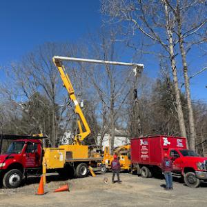 EML Tree Services