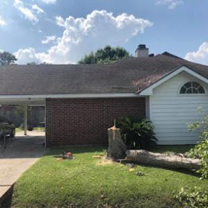 Southern Grinding & Tree Service