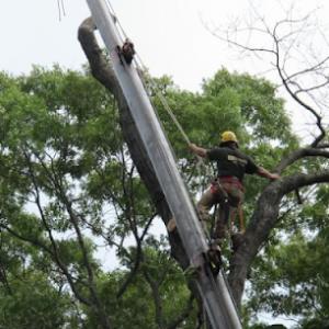 Clovis Outdoor Services