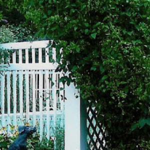 Four Seasons Landscape & Fence