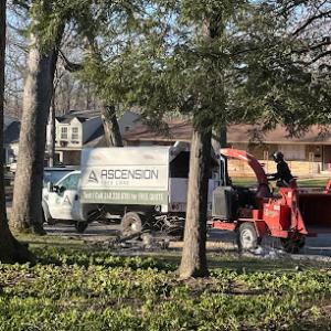 Ascension Tree Care