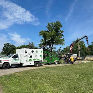 TerraShape Tree Company