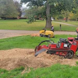 Nxt Lvl Stump Removal & Tree Service,Llc