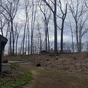 Greater Hartford Tree & Landscape