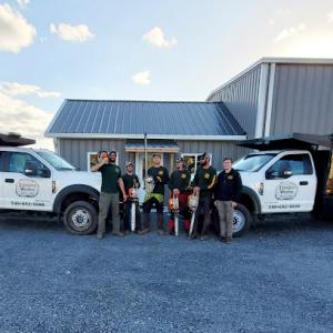 Timber Works Tree Care