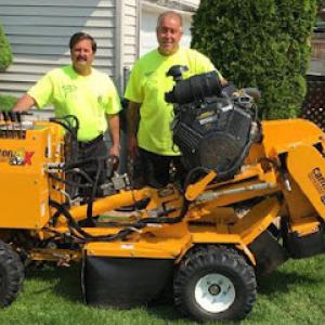 Affordable Stump Removal