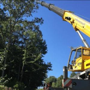 Strobert Tree Services