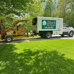 Rice's Tree Service & Landscaping