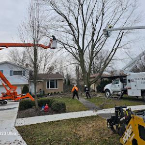 T&K Tree Service