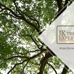 JK Tree Experts