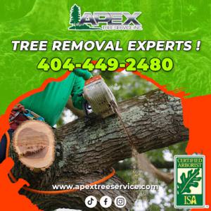 Apex Tree Service