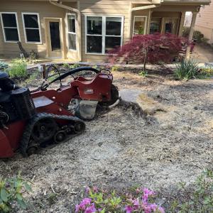 Mo’s Tree Services