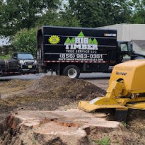 Big Timber Tree Service