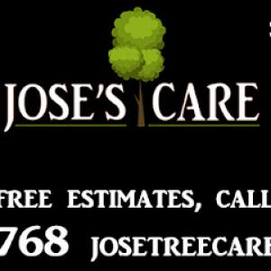 Jose's Tree Care