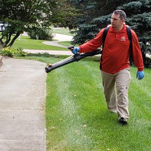 Safari Tree Grand Blanc