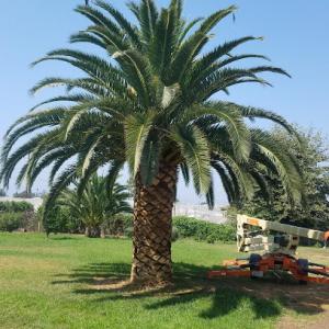 Joseph Christman's West Coast Tree, Inc - Ventura