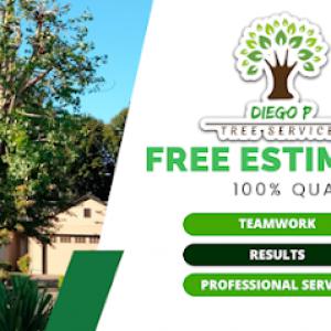 Diego P Tree Services