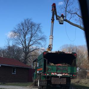 Charlie's Tree & Lawn Service Owner Operator I Do The Work