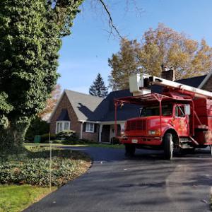 Hollinger Tree Service & Landscaping