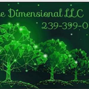 Tree Dimensional