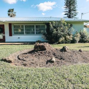 Forret Tree & Land Clearing