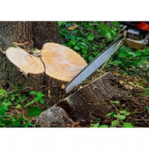 Tim's Landscaping & Tree Service