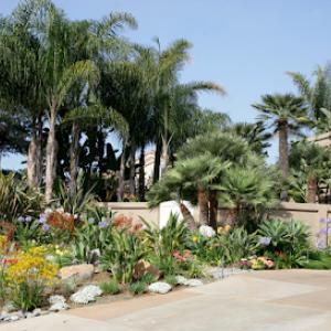 C & H Gardens Artistic Landscape & Tree Service