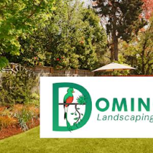 Domingo Landscaping & Tree Service