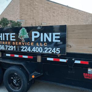 White Pine Tree Service