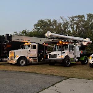 Affordable Tree & Crane Service