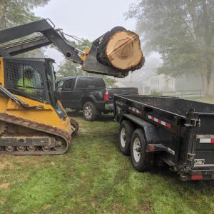 R & D Tree Services