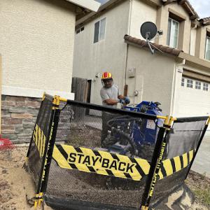 Golden Roots Tree Care