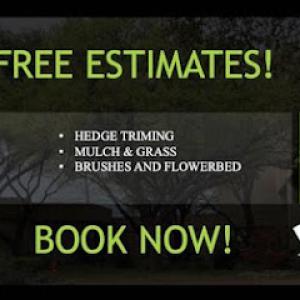 Daniel's Tree Services
