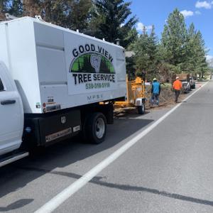 Good View Tree Service