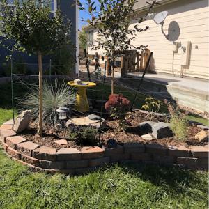 Squid Ink Properties