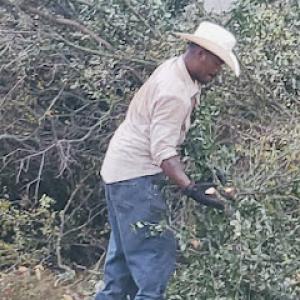 Bloodhound Wildlife Management