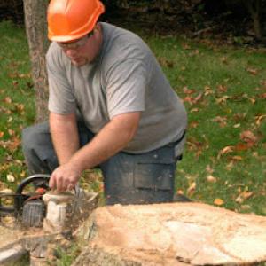 Bob McGrath's Tree Service