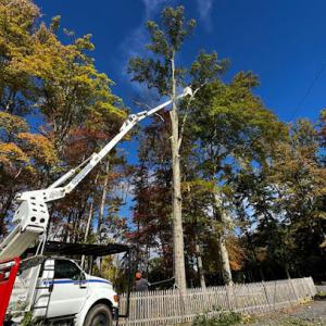 Hendricks Brothers Property Maintenance