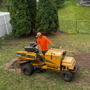 Call Jeff Stump Grinding