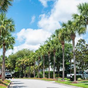 Island Tree & Property Care