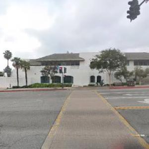 PrimeBranch Tree Experts