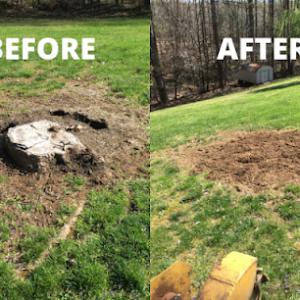 Charlottesville Tree Works