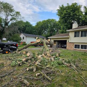 HandyMan Dan & Tree Service