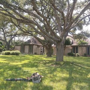 Danny's Tree Trimming & Private Fencing