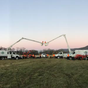 Brandon's Tree Service