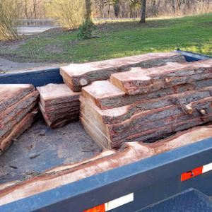 Woodchuckers Tree Service