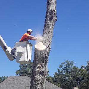 Caldwell Tree Service