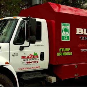 Blazer Tree Service