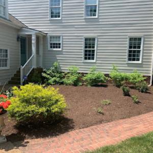 M Santos Tree Services