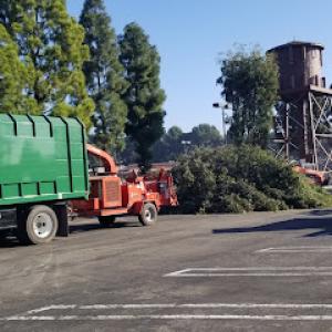 Al & Sons Tree Service